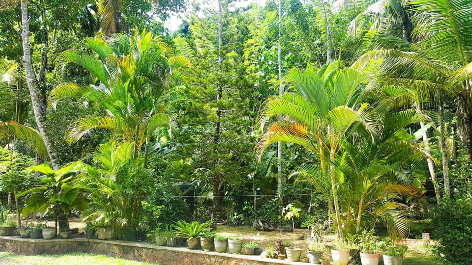Banksia Villa Vacation rental in Southern Province