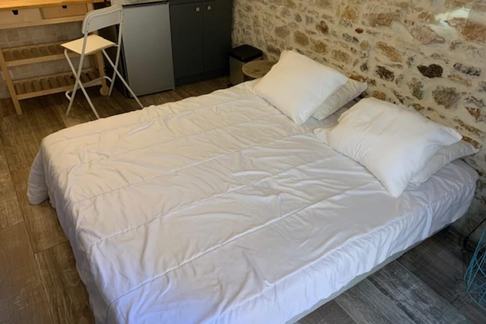 Studio with exposed stone Vieux Lyon Apartment in Lyon