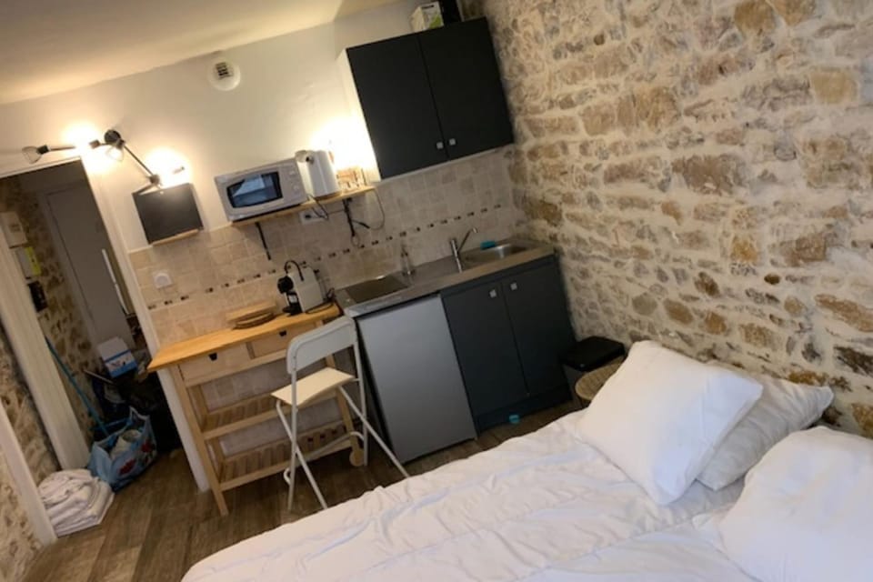 Studio with exposed stone Vieux Lyon Apartment in Lyon