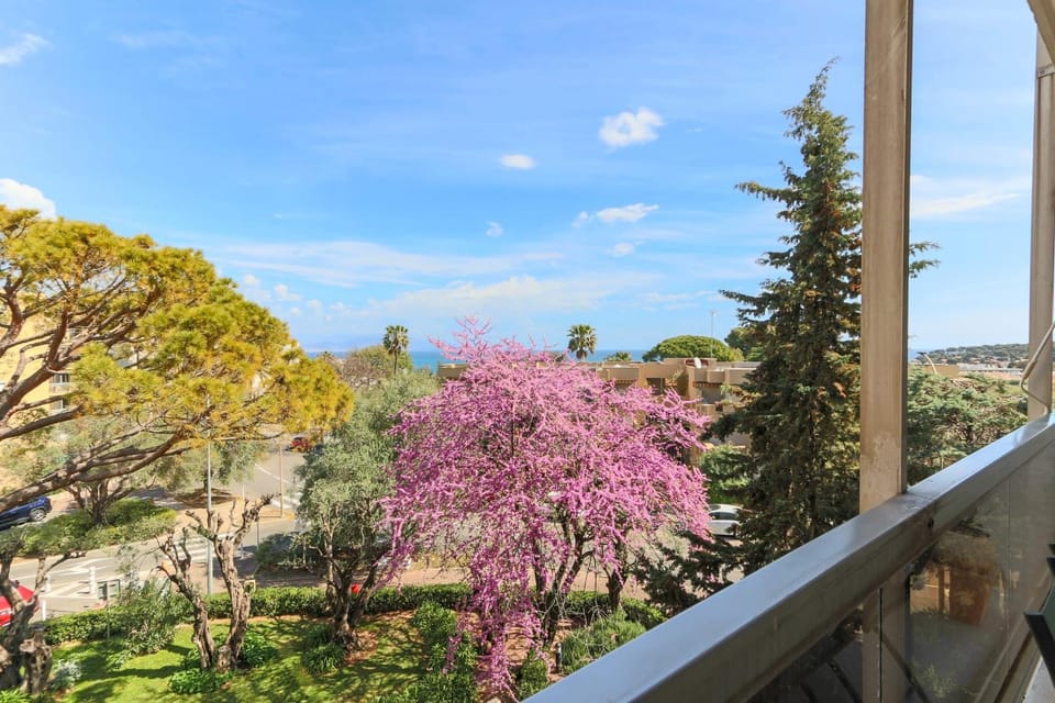 Beautiful flat with Sea View Terrace Pool Parking portative AC- BENAKEY Apartment in Antibes