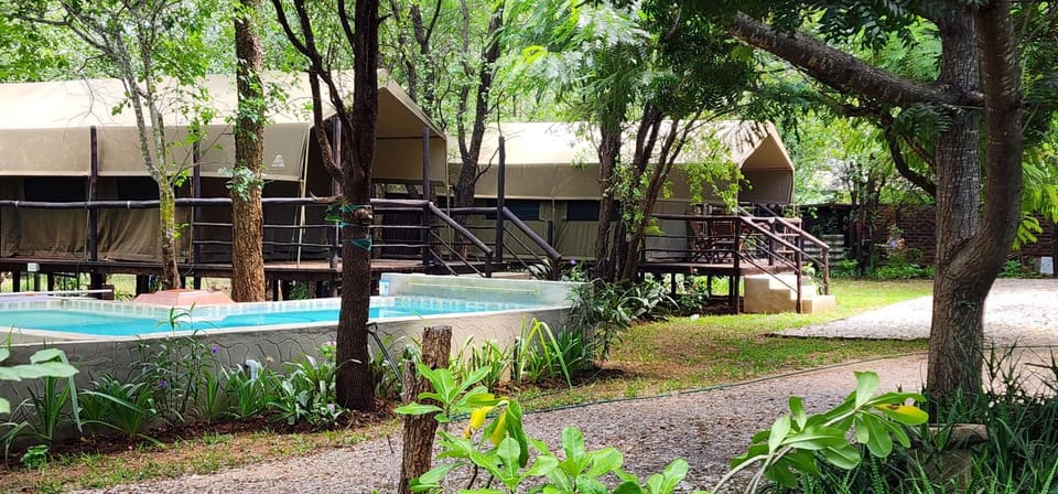 Property building, Natural landscape, Garden, Garden view, Pool view, Swimming pool