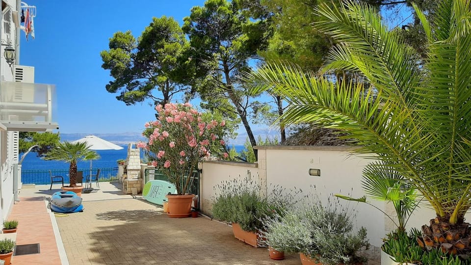 Property building, Facade/entrance, Garden view