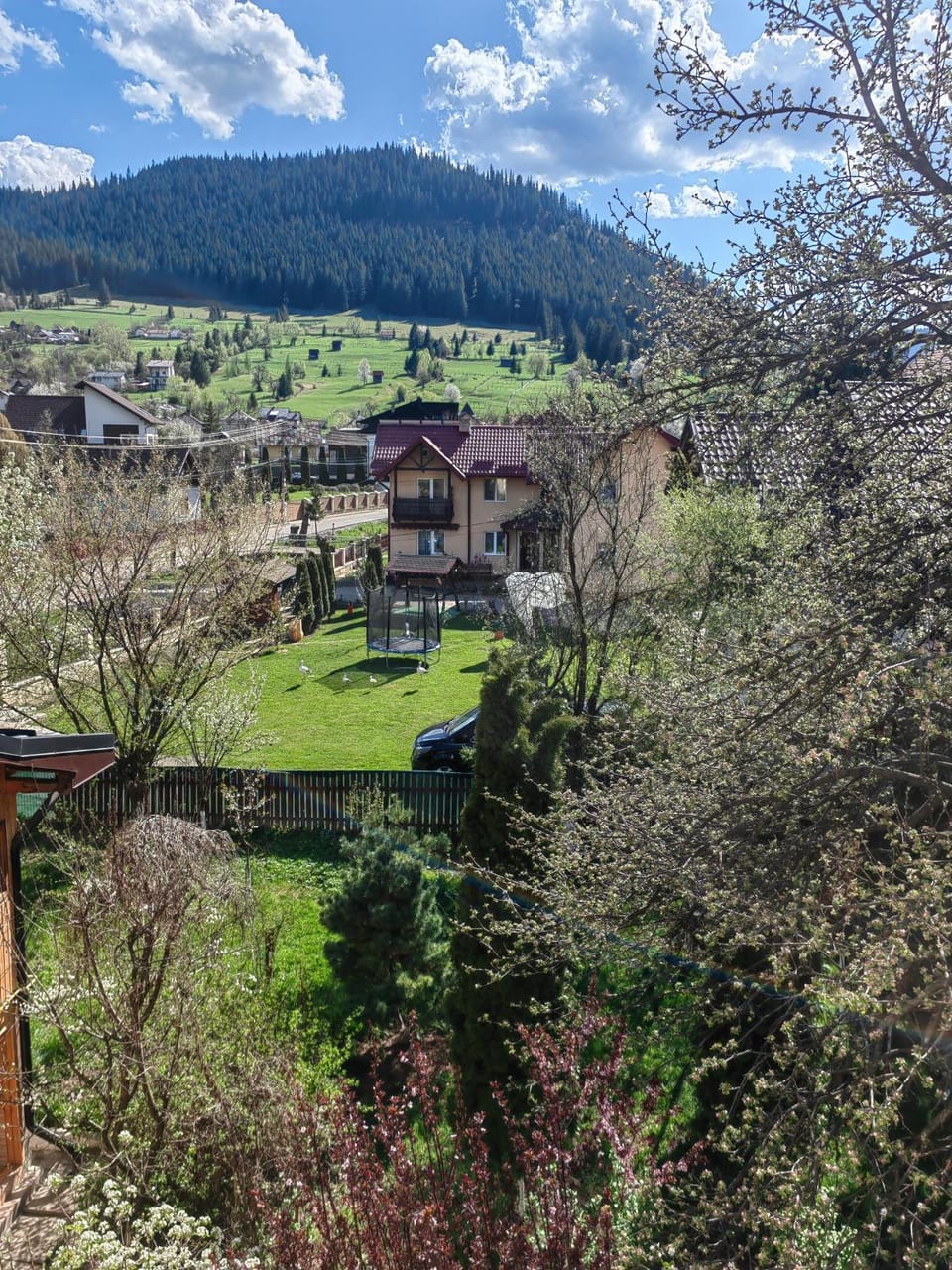 Spring, Day, Natural landscape, Garden, Garden view, Mountain view
