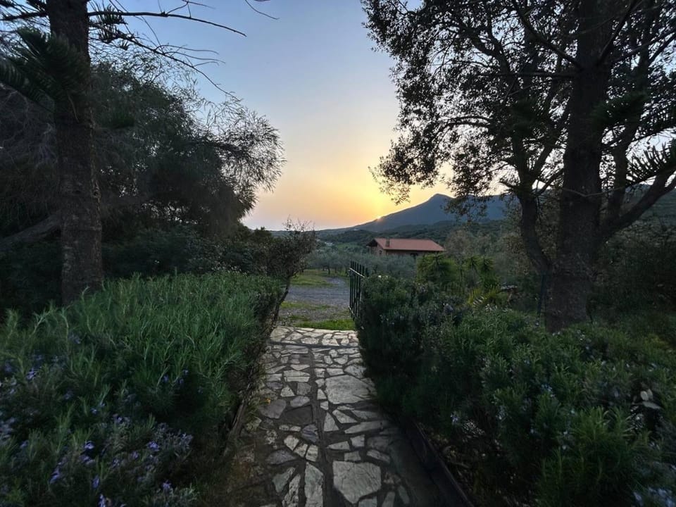 Natural landscape, Garden, Mountain view, Sunset