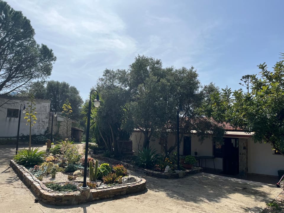 Property building, Garden, Garden view