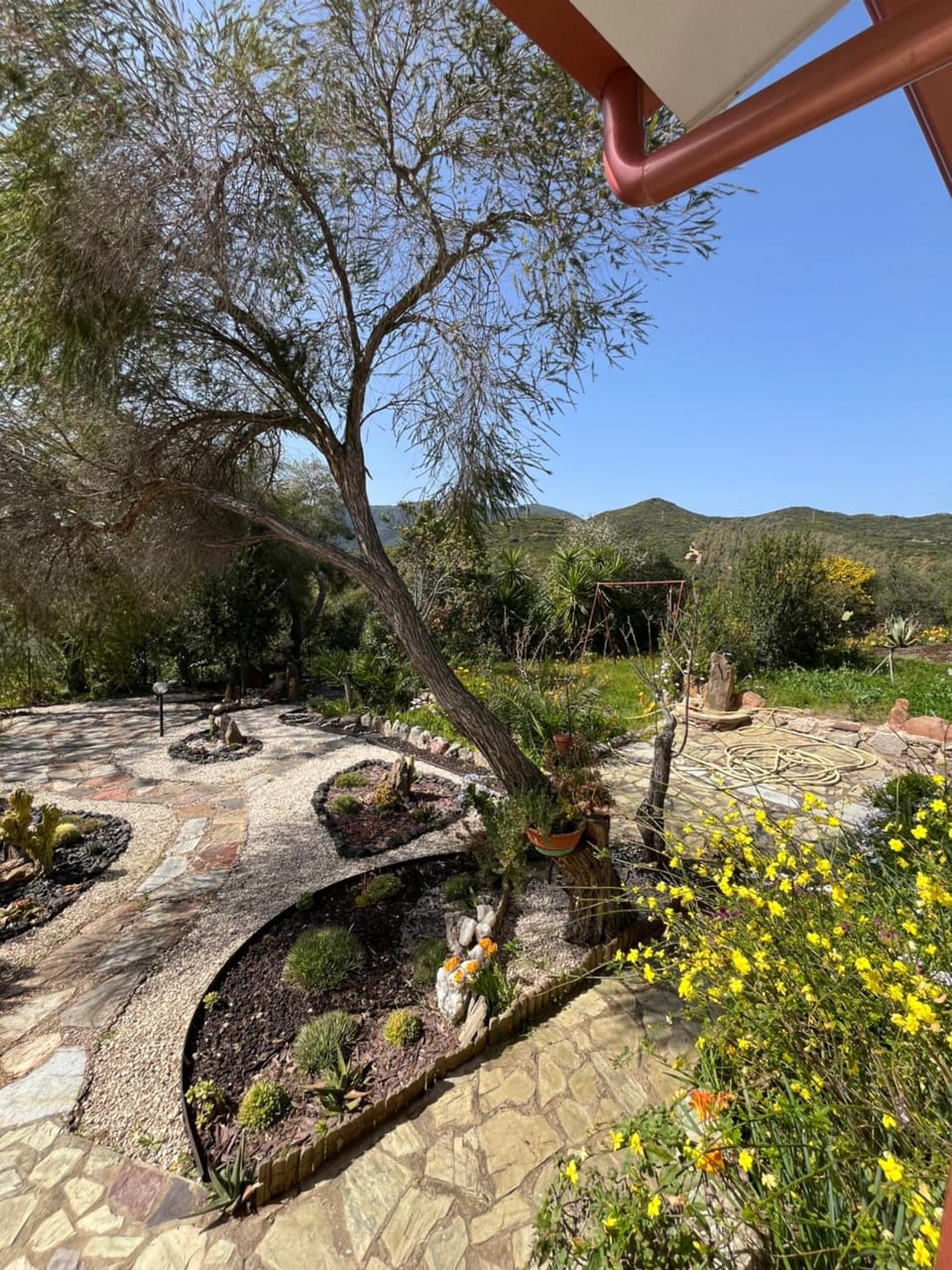 Natural landscape, Garden, Garden view