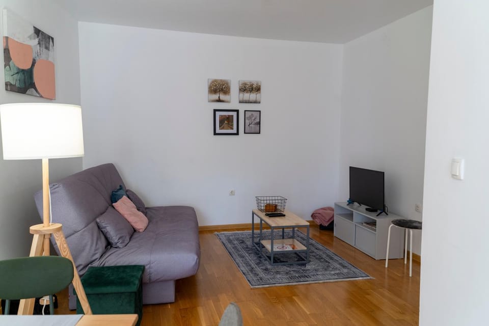 Apartman Kosta Novi Sad Apartment in Novi Sad