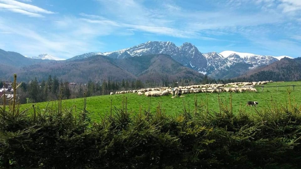 Nearby landmark, Natural landscape, Mountain view