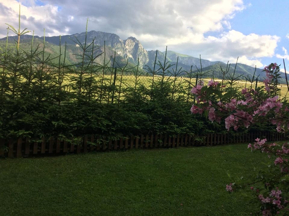 Nearby landmark, Spring, Day, Natural landscape, Garden, Garden view, Mountain view