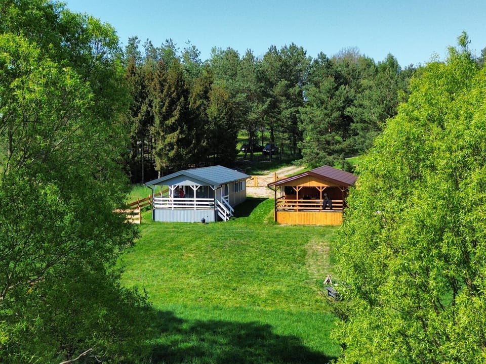 Day, Natural landscape, Garden, Garden view