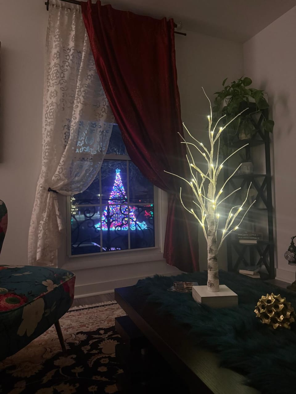 Eleni’s Charming Studio Apartment in Jackson Heights