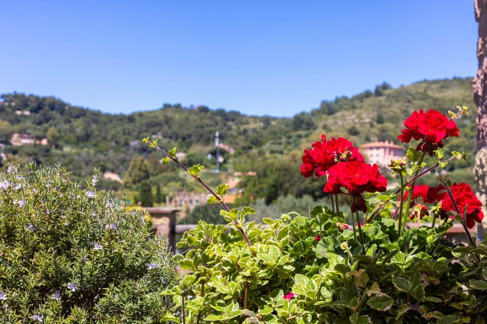 Garden, Garden view