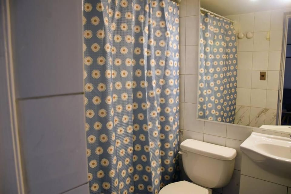 Loft Mestizo Apartment in Providencia