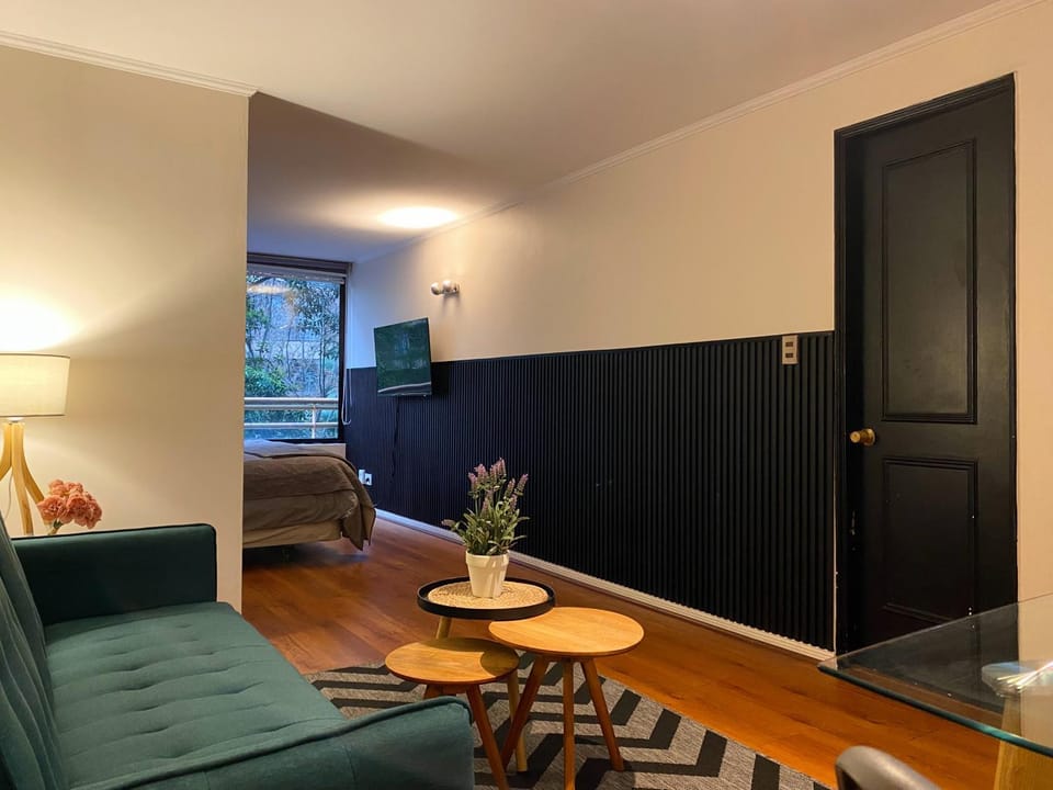 Loft Mestizo Apartment in Providencia