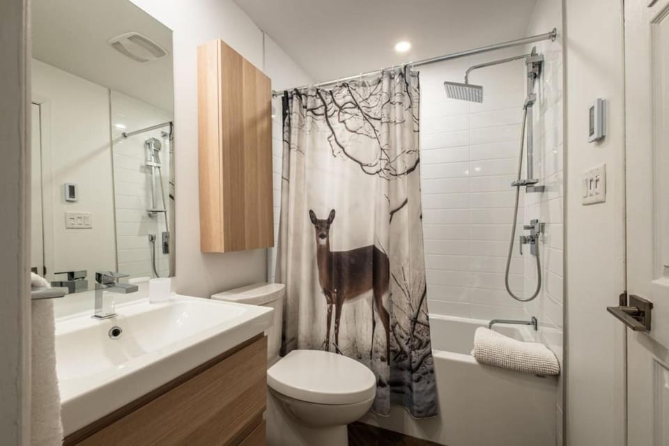 Shower, Toilet, Bathroom, Bath, towels