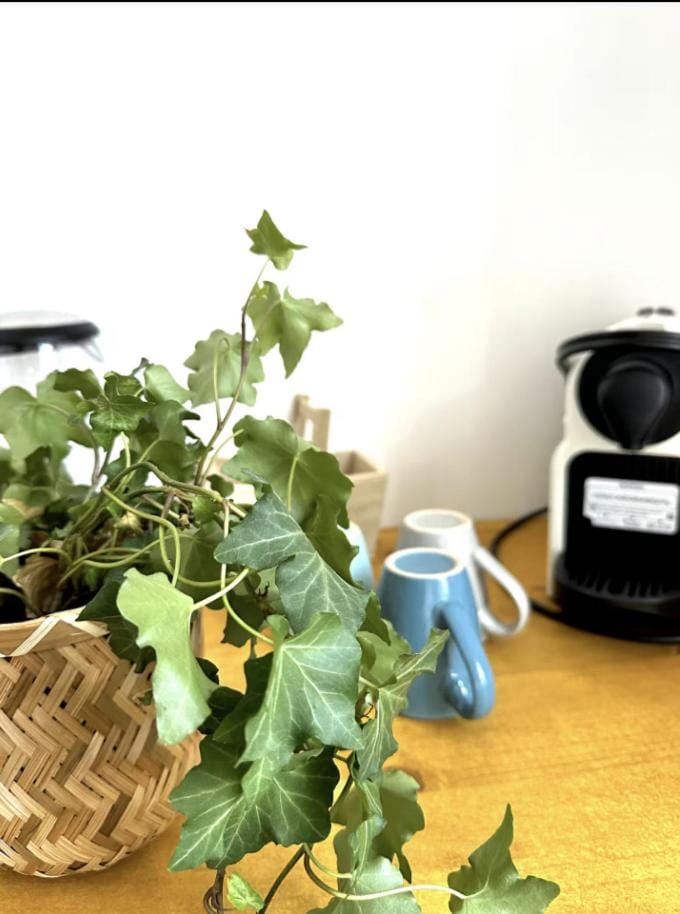 Charmants Appartements au coeur d'Arras Apartment in Arras