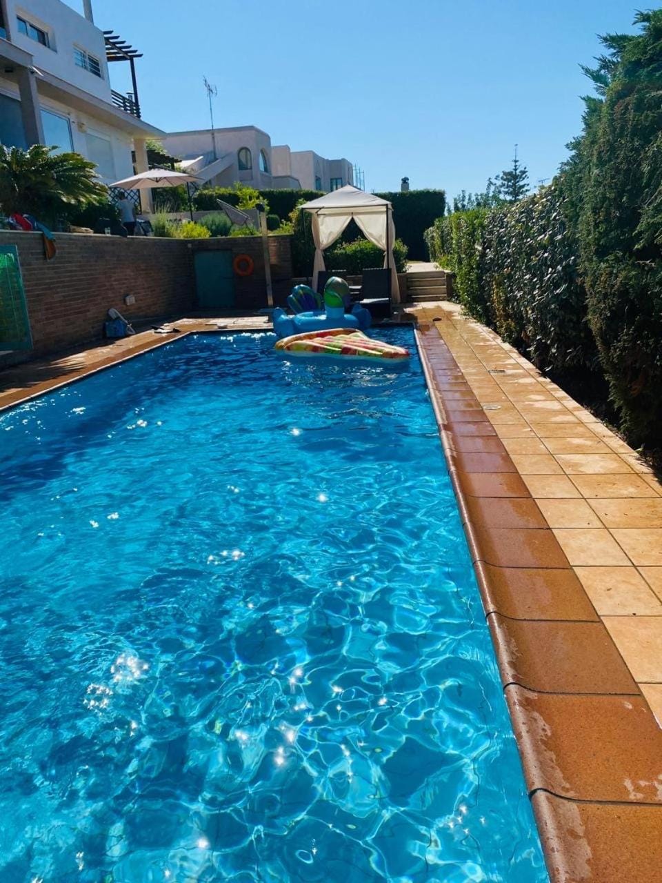 Day, Swimming pool, sunbed