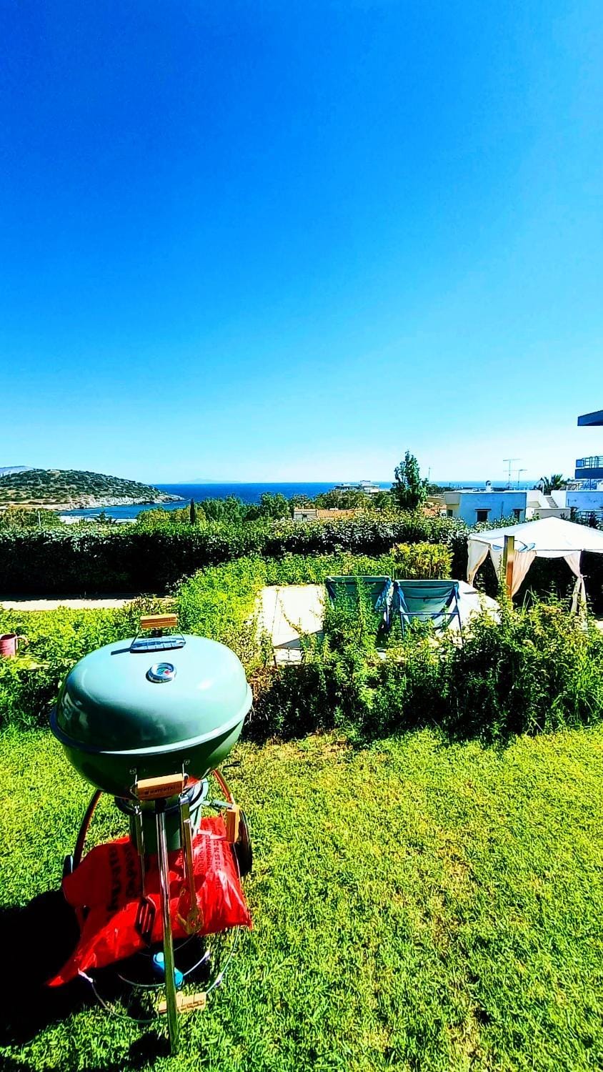 Garden, Garden view, Meals