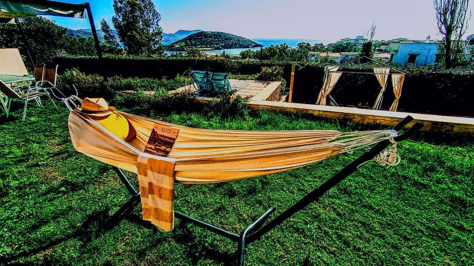 Day, Garden, Garden view, sunbed