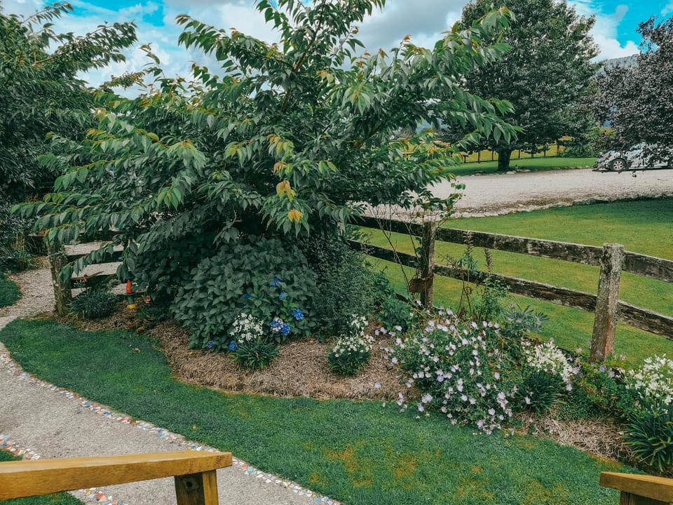 Garden view