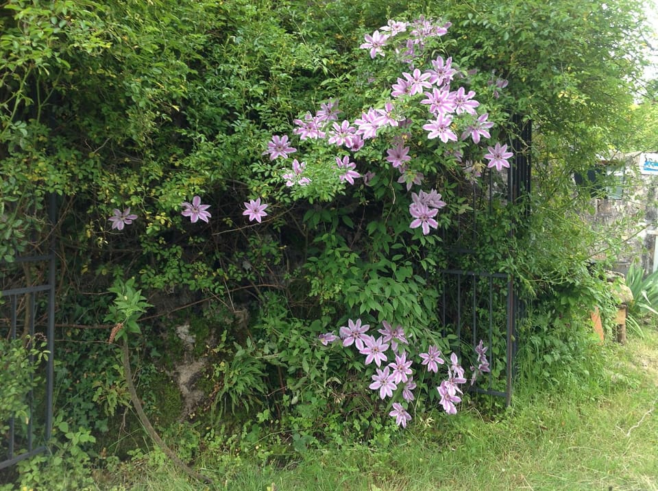 Ancienne ferme dansl'Aveyron House in Auvergne-Rhône-Alpes