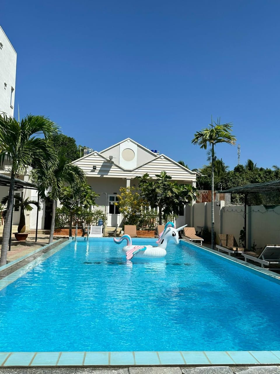 Day, Swimming pool, sunbed