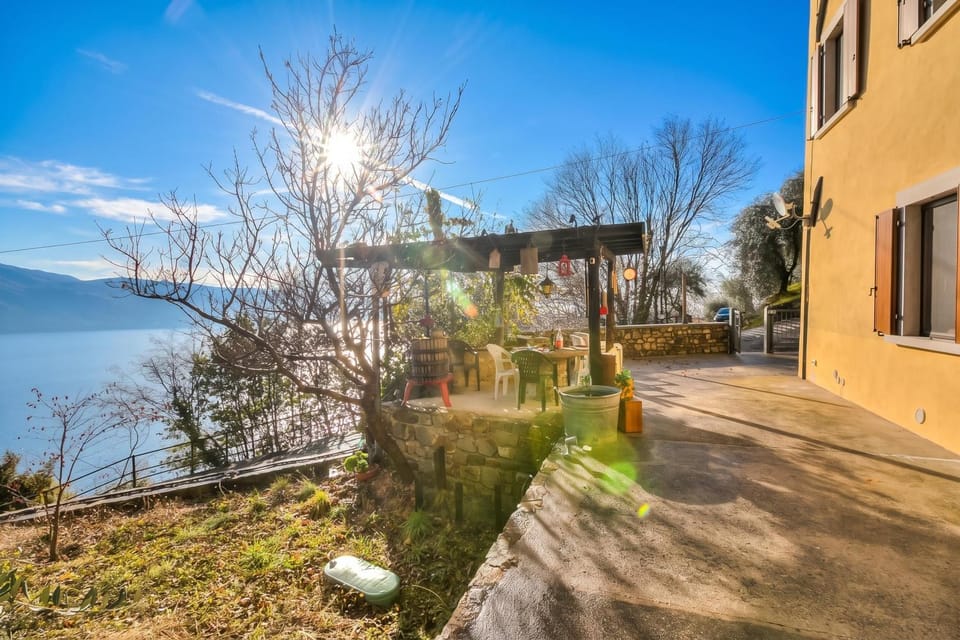 Lake view