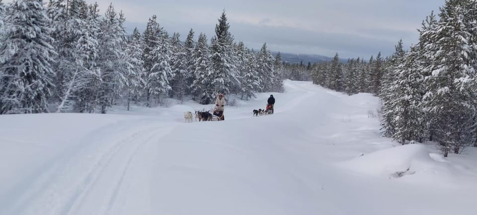 Natural landscape, Winter, group of guests