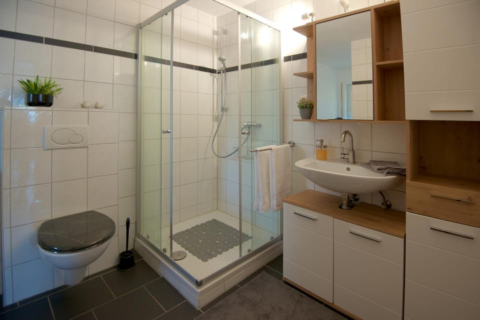 Shower, Toilet, Bathroom, towels