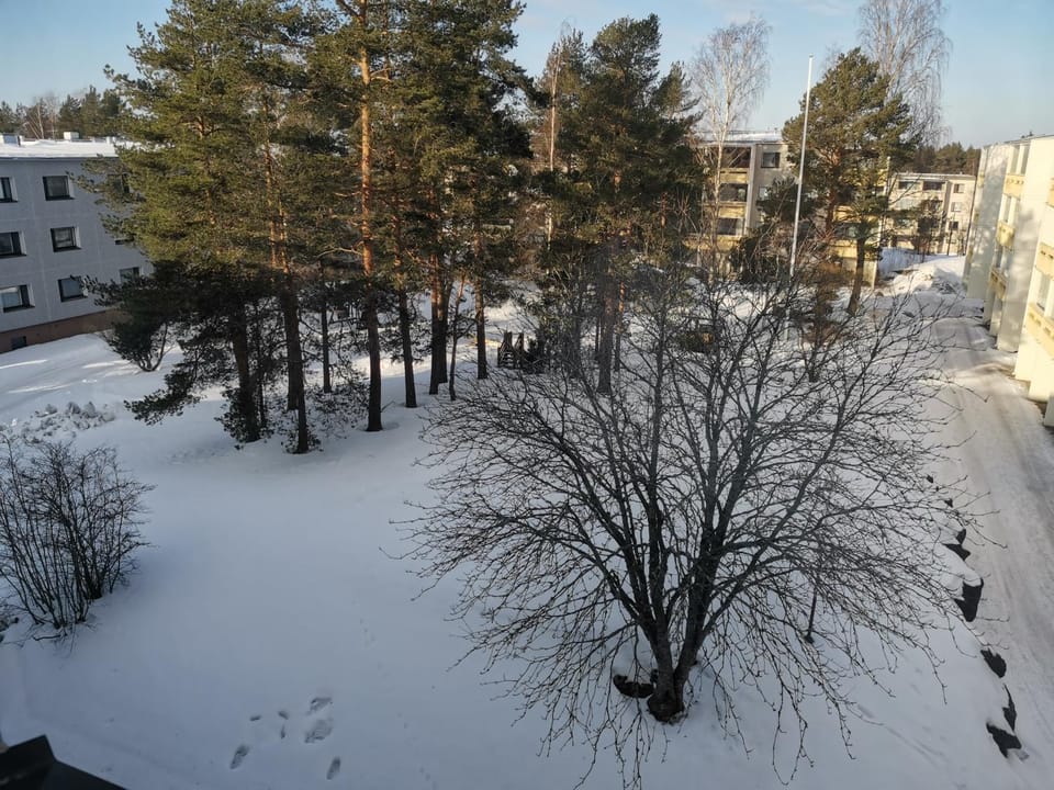 Day, Natural landscape, Winter