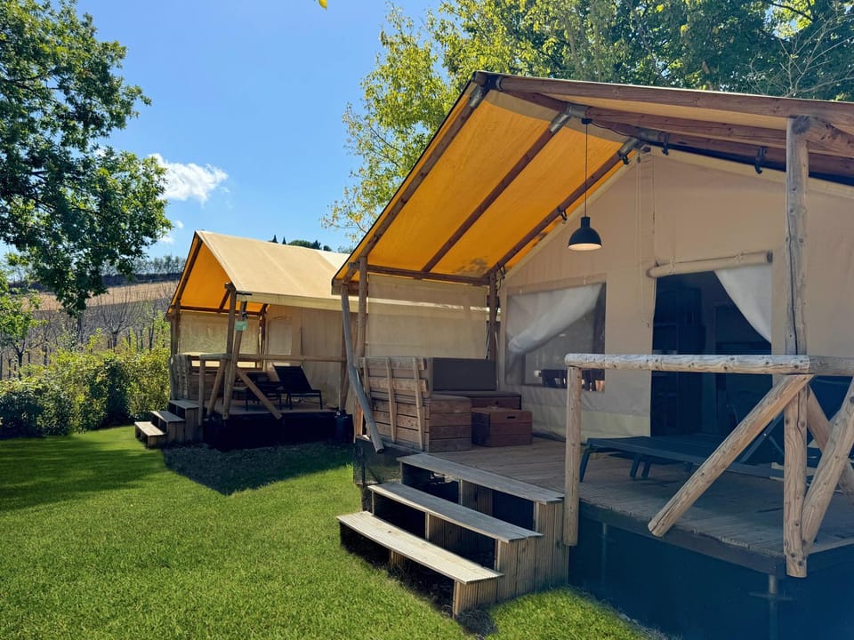 Spring, Day, Natural landscape, Garden, Garden view