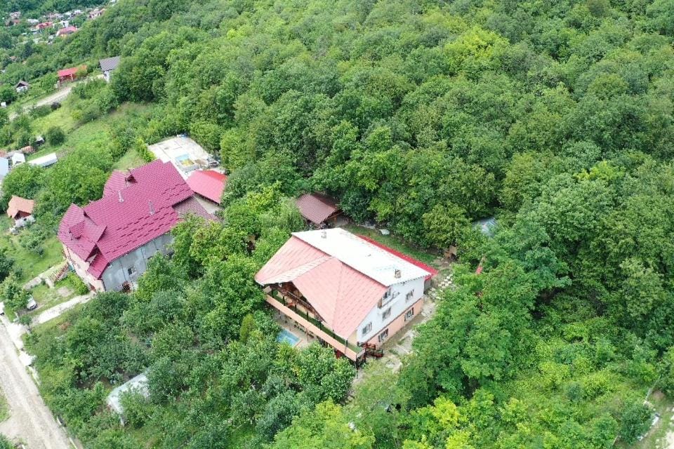 Vila Mara Bed and Breakfast in Romania