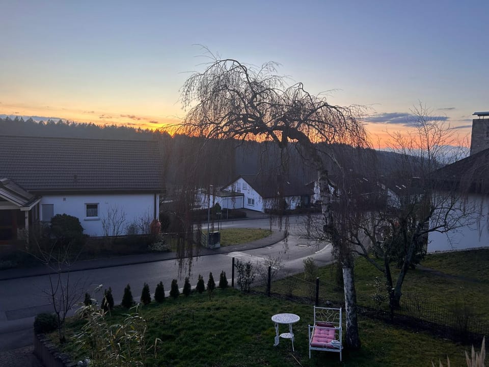 Spring, Natural landscape, Sunrise, Sunset