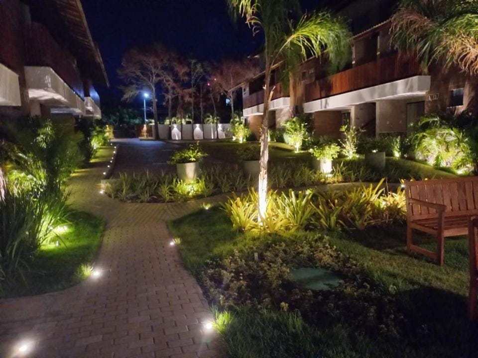 Night, Garden view