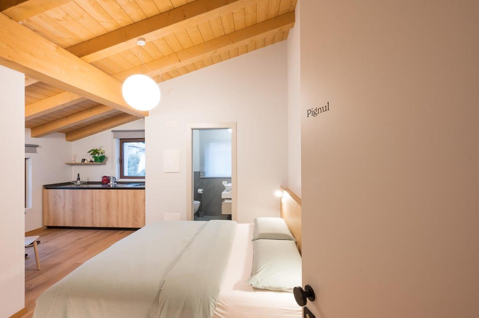 Bed, Kitchen or kitchenette, Photo of the whole room