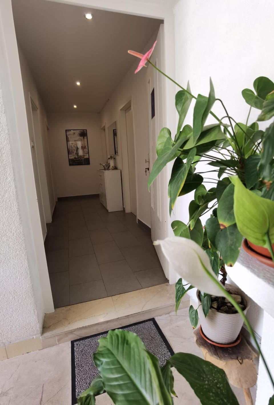 Apartment Jadranka Apartment in Makarska