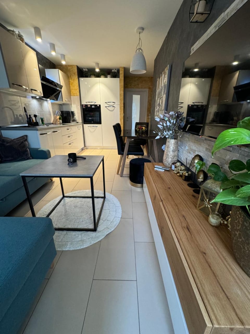 TV and multimedia, Kitchen or kitchenette, Living room, Seating area, Dining area, minibar, pet friendly, stove