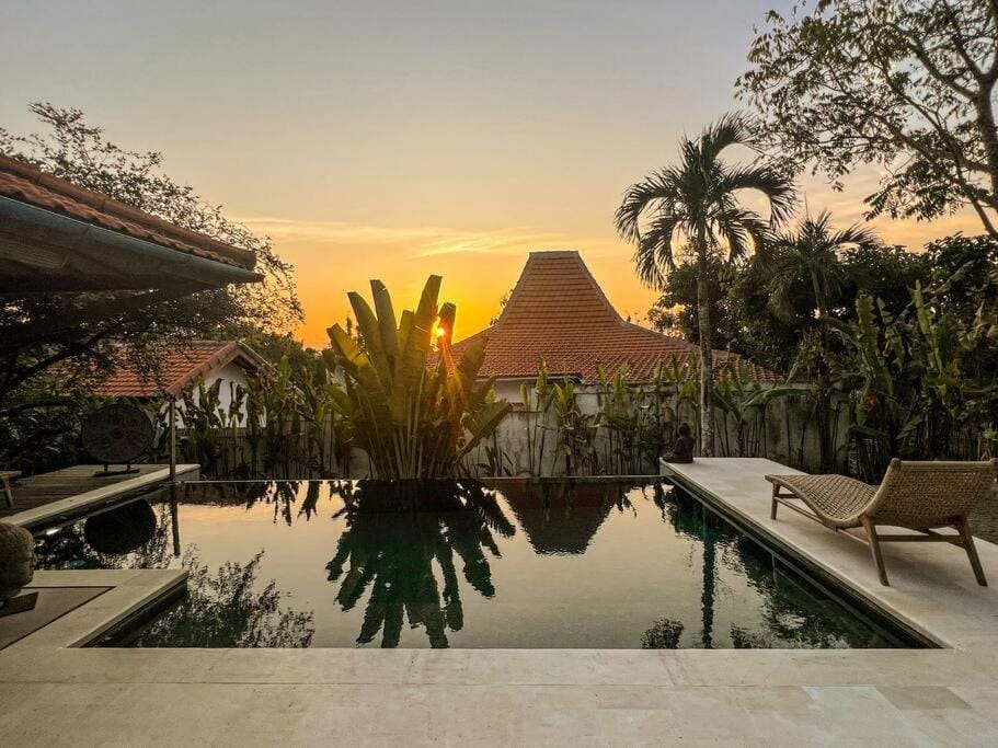 Garden, Swimming pool, Sunset