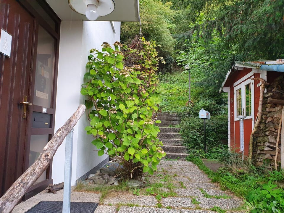 Garden view, Swimming pool