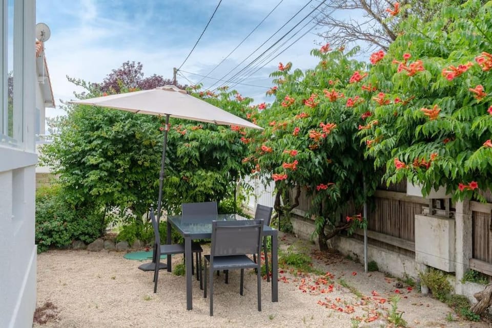 Patio, Dining area