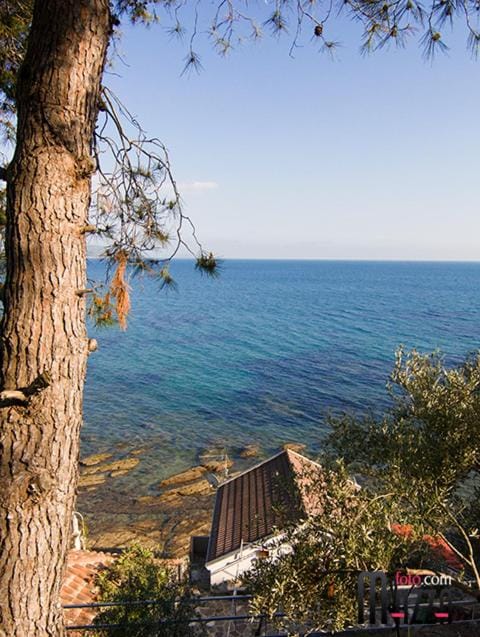 Pensione Zio Attilio Hotel in Campania