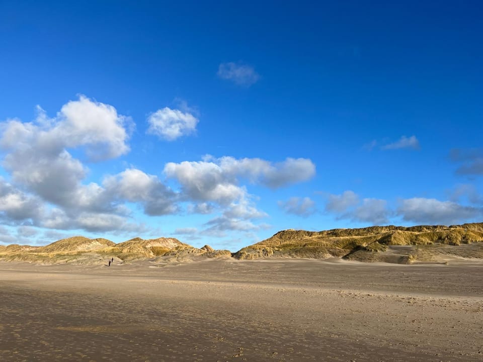 Vakantiehuis aan Zee (100 meter van het strand) Apartment in Egmond aan Zee