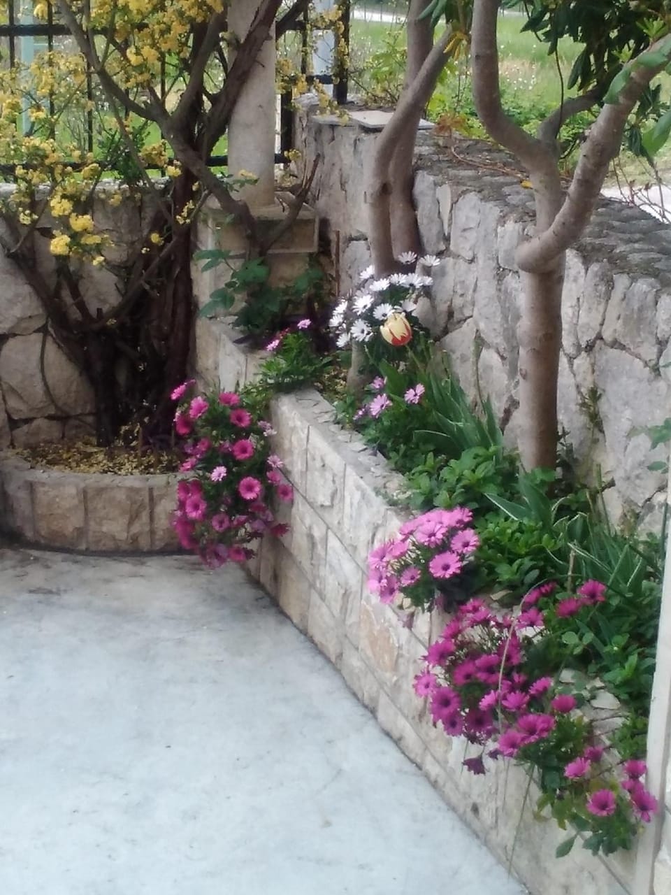 Apartments Zlosilo Apartment in Dubrovnik-Neretva County