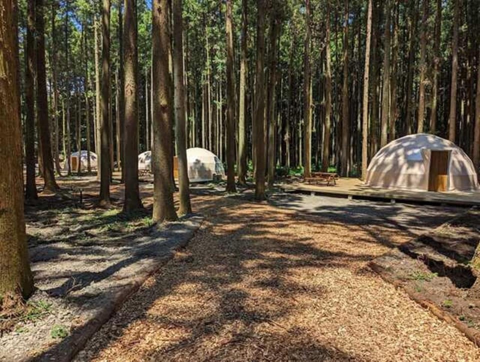 Akagi Tokiwa Forest Campsite - Vacation STAY 84739v Campground/ 
RV Resort in Japan