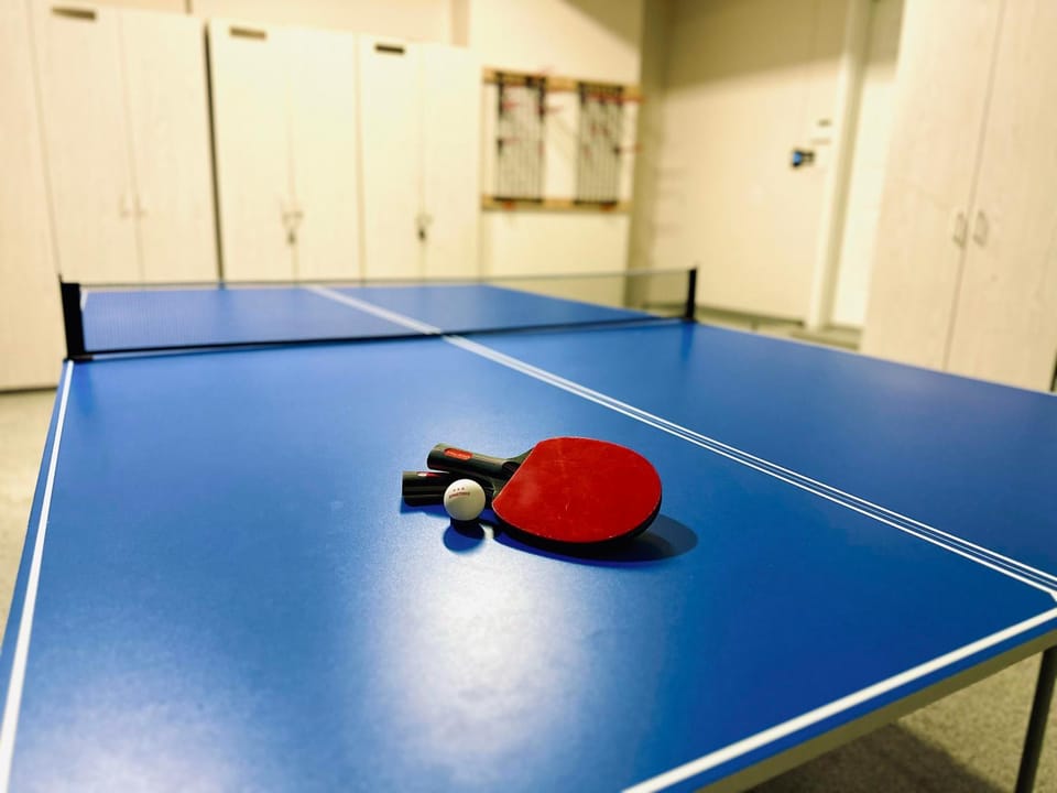 Adventure Retreat Hot Tub, Ping Pong, Close Mtn House in Cottonwood Heights