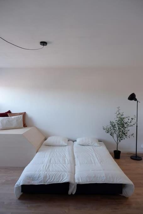 E centre ville professeur langevin spacieux cosy Apartment in Epernay