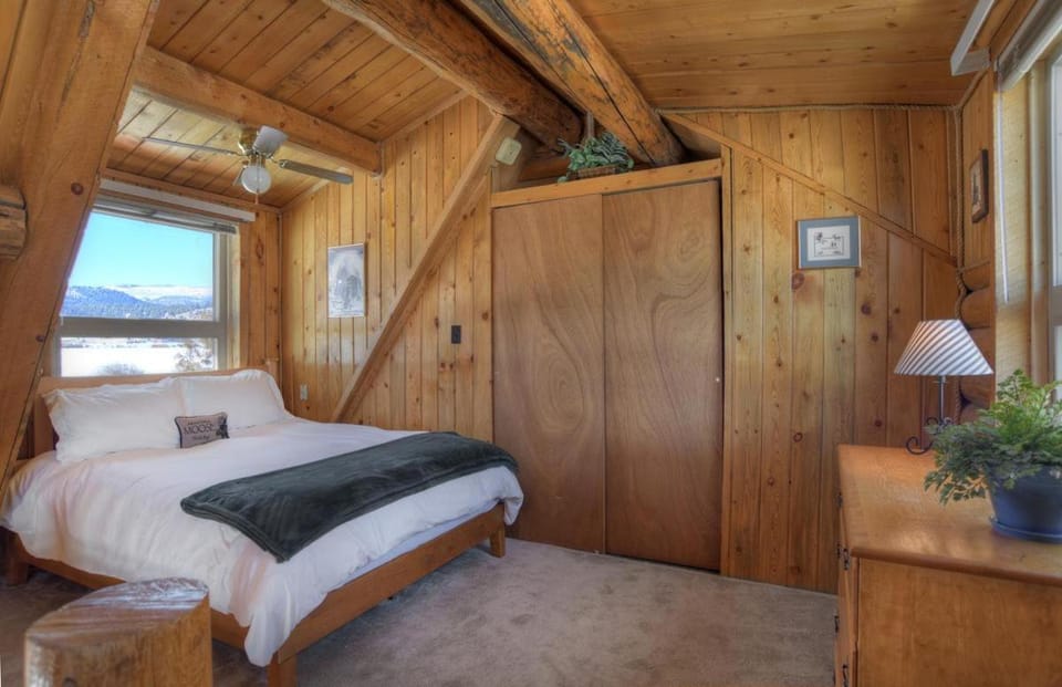 Turtle House in South Fork, CO House in Colorado