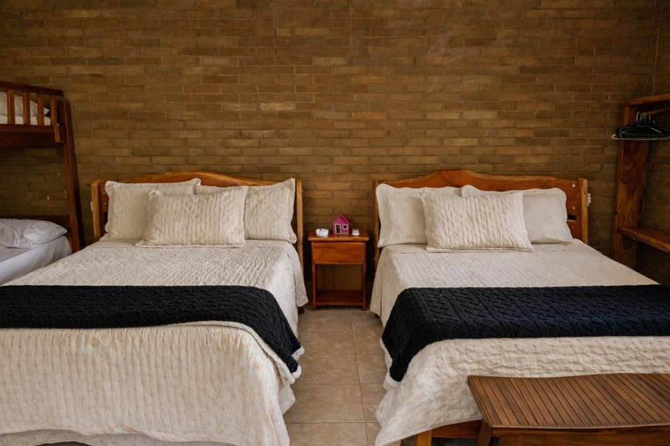 Eco Flat 322 - Hotel Fazenda Pedra do Rodeadouro Apartment in State of Pernambuco, Brazil