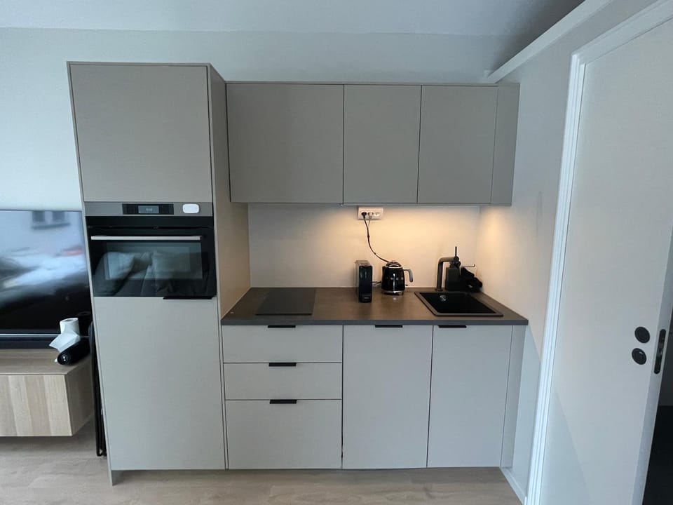 Kitchen or kitchenette, minibar, pet friendly, stove