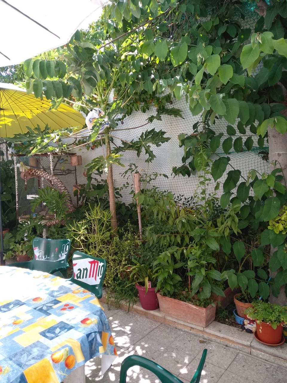 Patio, Garden